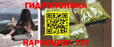 гидра Пушкино